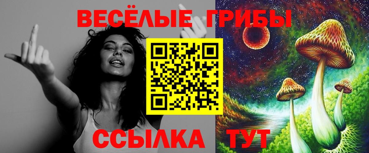 Псилоцибиновые грибы Cubensis  Псилоцибиновые грибы мухоморы  Похвистнево  Вход с VPN 